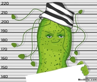 Хеликобактер пилори